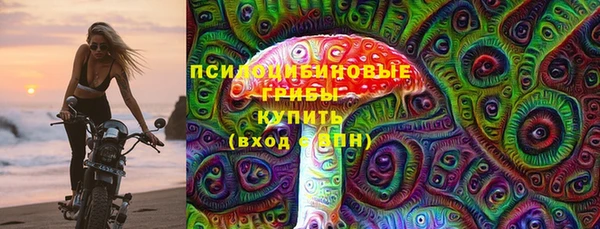 apvp Волоколамск